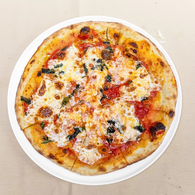 Savor Our Lunch Offerings